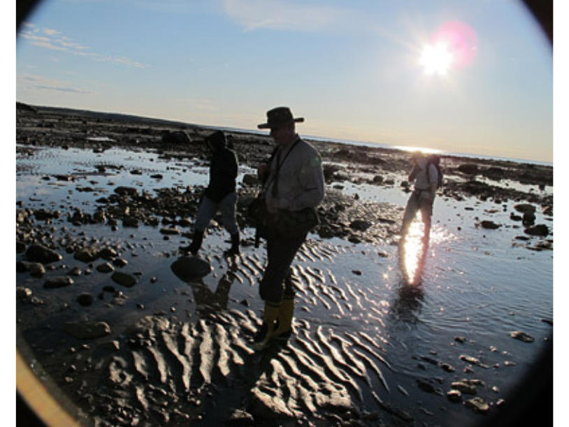 Silhouettes of three people walking through shallow water on a beach, backlit by the sun.