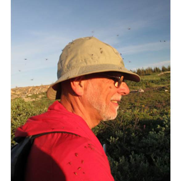 In individual wearing a red jacket and a rimmed beige hat with mosquitoes swarming around their head.