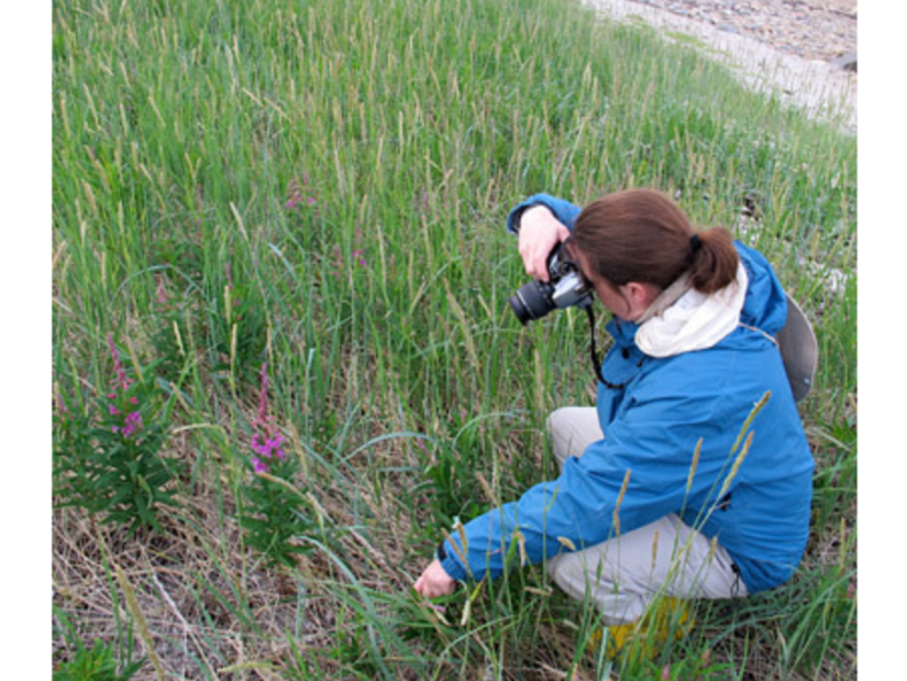 Debbie Thompson wearing a blue jacket and holding a camera up to her eye, crouches to take a photo of the nature in front of her.