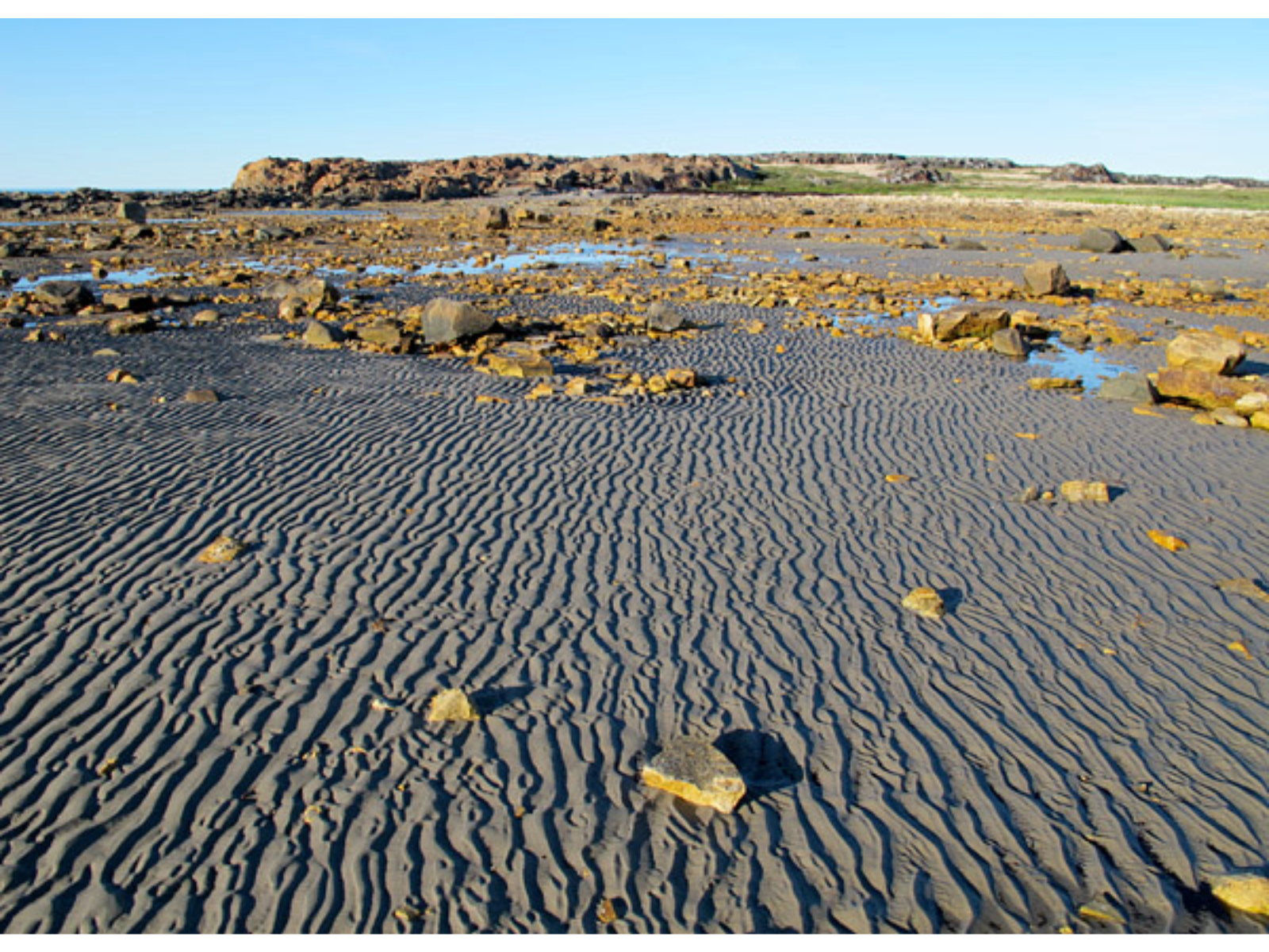 Looking out over a sandy beach dotted with stones and spaces of shallow water.