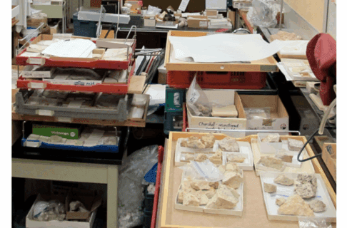 Stacks of trays carrying fossils placed around a crowded office.