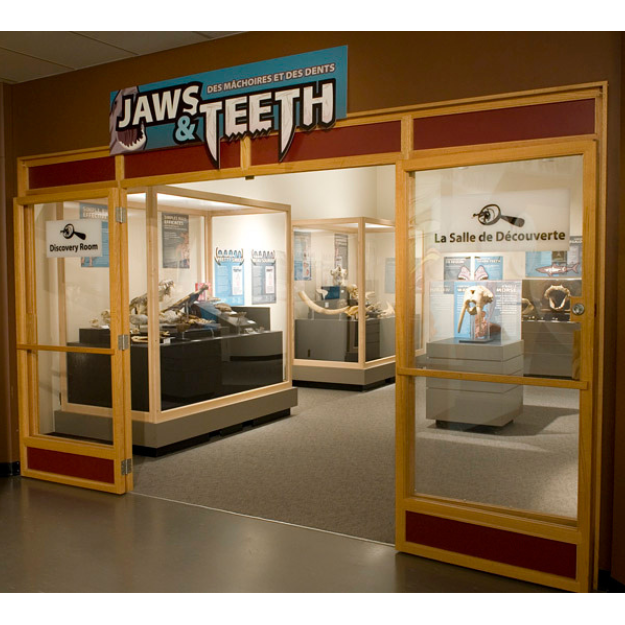 Entry doorway into the Jaws & Teeth exhibit, with a number of display cases visible inside.