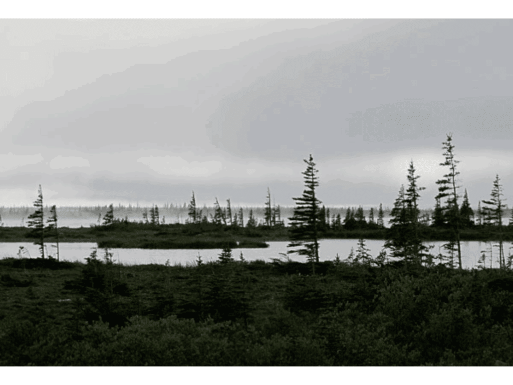 Photo looking out towards a landscape dotted by bodies of water and grass and trees.