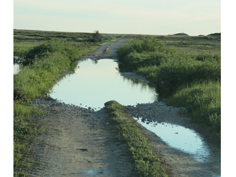 Standing water collected in a dip in the gravel road.