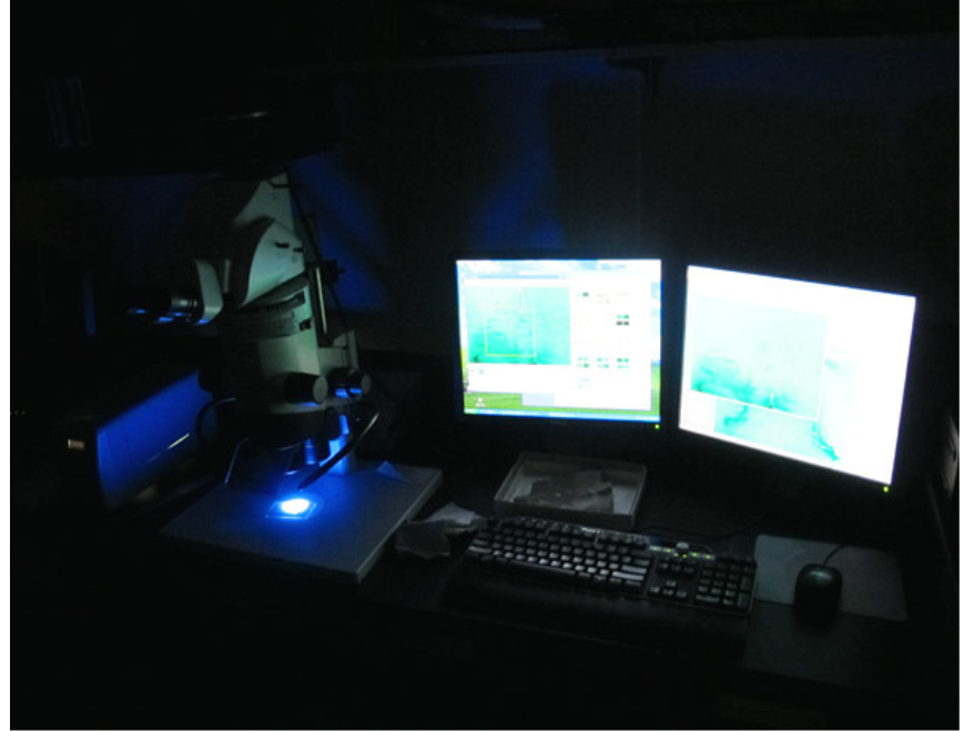 Two full computer monitors illuminated in a dark room. To the left of the screens is a large microscope shining a blue light onto the base platform.