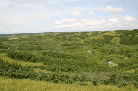 Wide landscape view looking out over a lush, green valley with a river winding through it, visible at times through the vegetation.