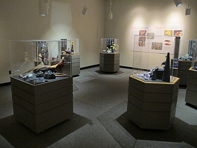 A wide view of several of the set-up podiums for the Colours in Nature exhibit.