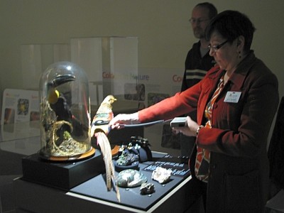 Two conservation staff people examining the layout of a portion of the exhibit.