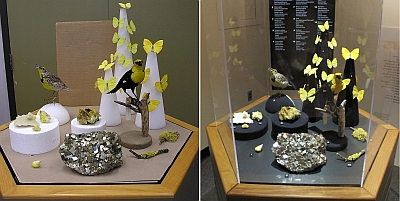 Two photos side-by-side of the yellow exhibit. On the left is a mockup of how the exhibit will look. On the right is the final layout in the exhibit.