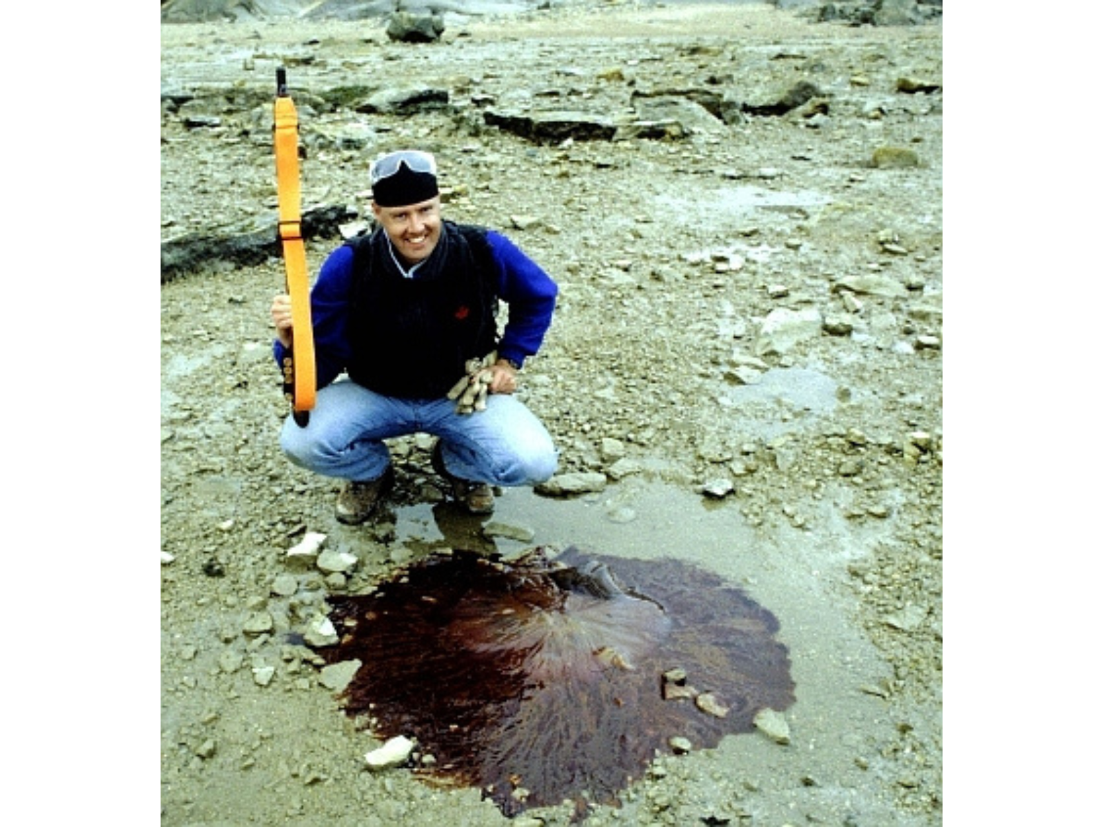 An individual crouching down next to a large beached lion's mane jellyfish.