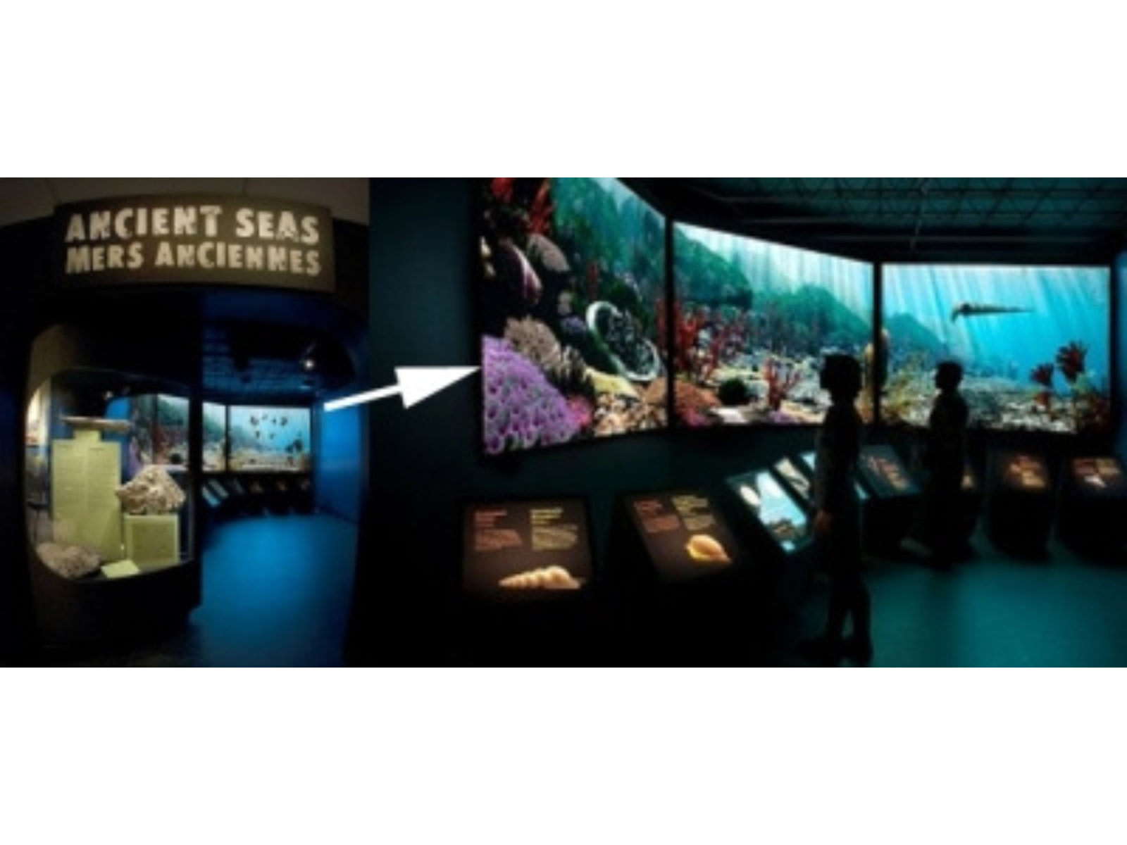 Two photographs side-by-side of the entrance to the Ancient Seas exhibit and the exhibit itself - a large curving screen along a wall showing animation of a view of a tropical sea.