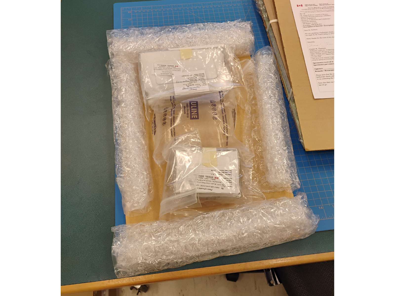 Two specimens packed for shipment in small plastic container within plastic bags, padded with bubble wrap and packing pillows.