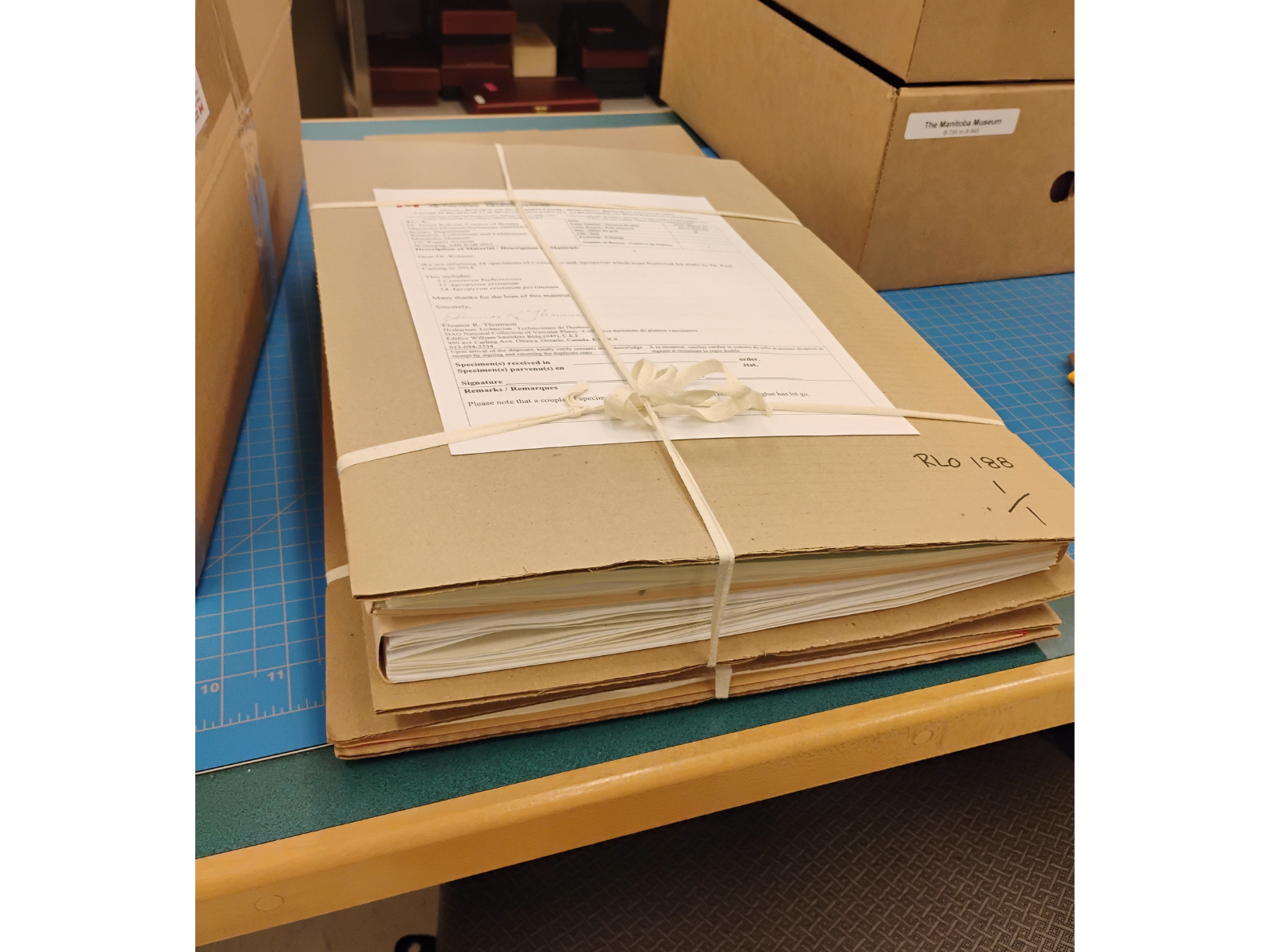Pressed speciens packed tightly, bound flat between stiff boards of cardboard.