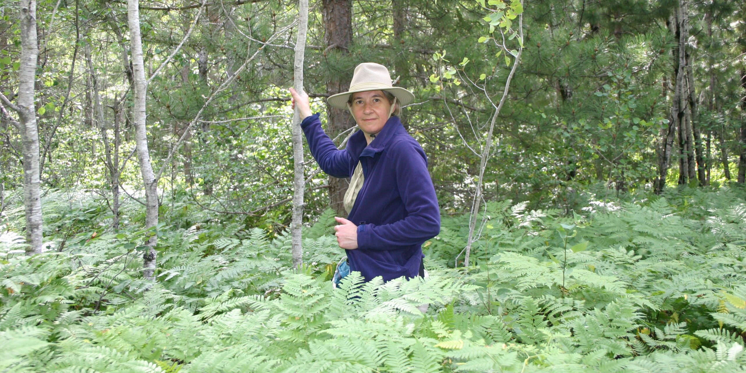Woman standing in a mixedwood forest surrounded by waist-high ferns.
