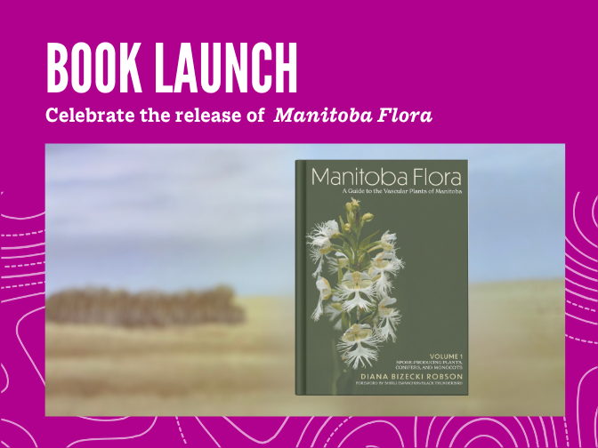 Front cover of Volume 1 of Dr. Diana Bizecki Robson's new publication, "Manitoba Flora: A Guide to the Vascular Plants of Manitoba" with forward written by Shirli Ewanchuk/Black Thunderbird. Book cover is atop a backdrop of an illustrated prairie scene from the Manitoba Museum Prairies Gallery. Image is on a fuchsia background. Text at the top reads, "Book Launch / Celebrate the release of Manitoba Flora".