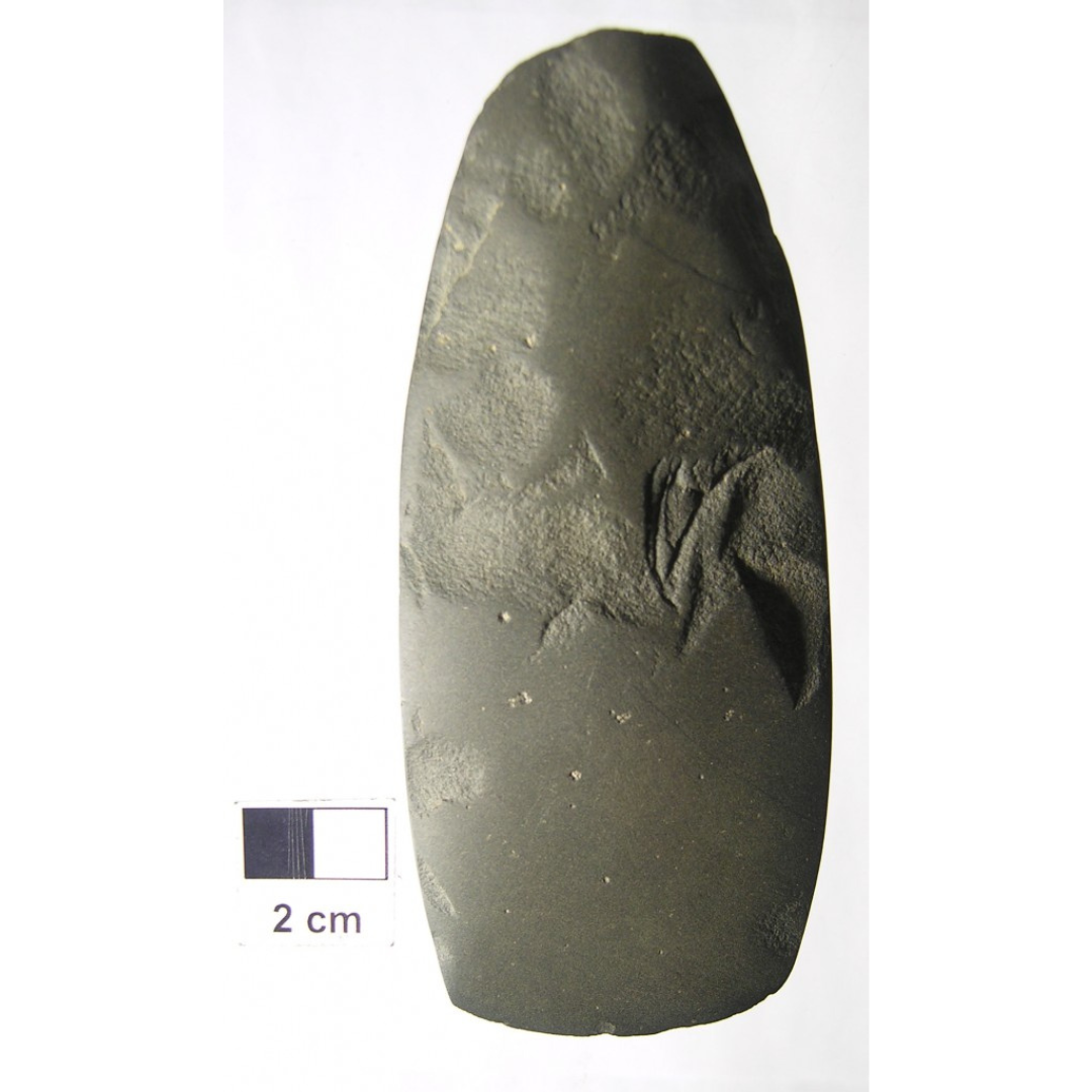 An oblong carved stone tool with sharpened edges.