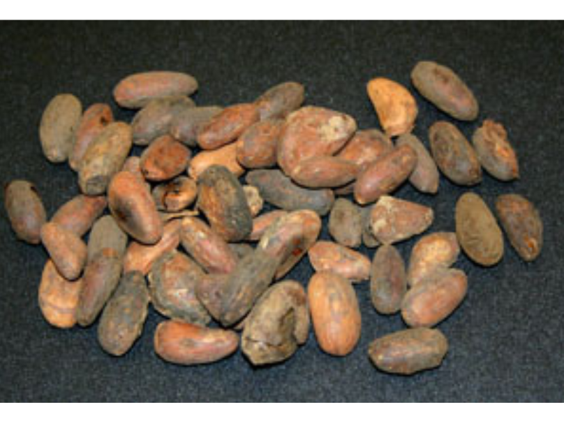 A small pile of brown cocoa nibs on a black backdrop.