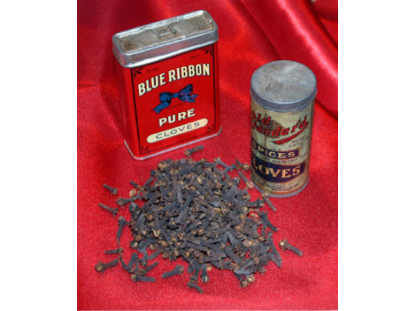 A small pile of cloves next two two different containers of cloves on a red background.