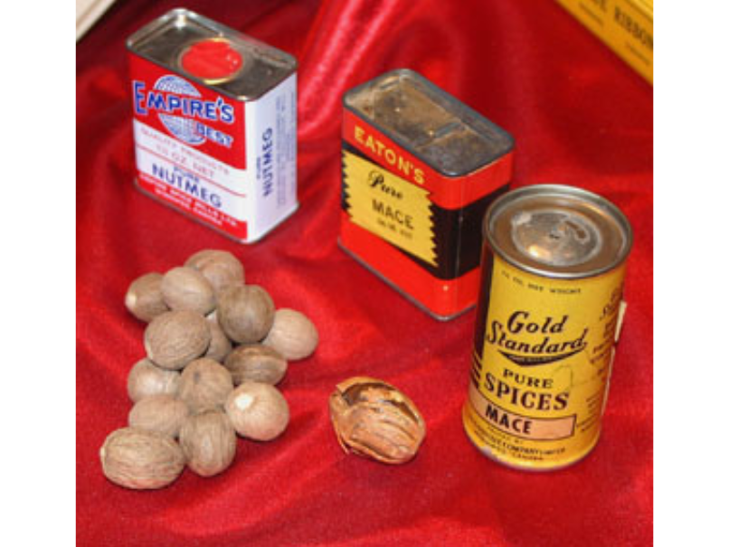A small pile of nutmeg next to three containers of nutmeg on a red background.