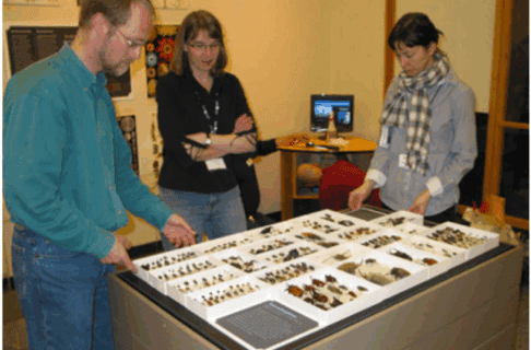 Beetles in many display cases on a table surrounded by 3 people.