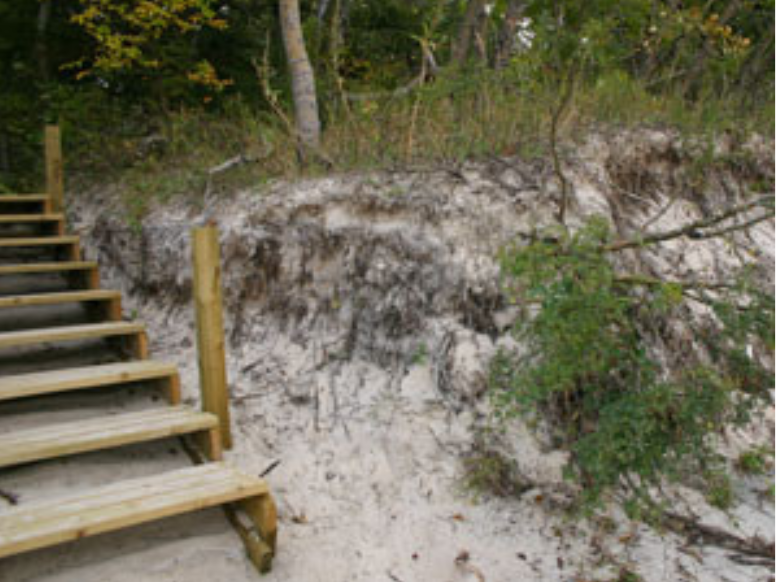 View of wooden steps coming up from the beach shoreline.