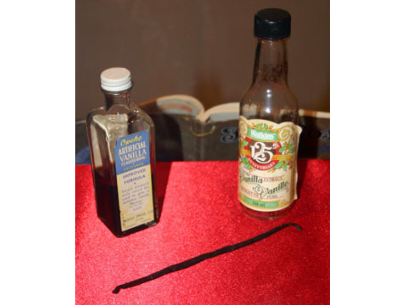 Two bottles of vanilla extract next to a long vanilla bean on a red base.