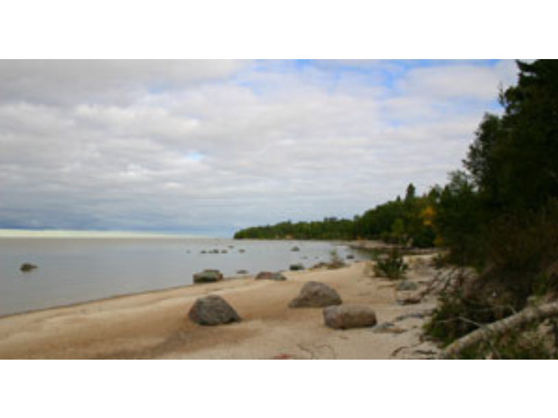 Empty shoreline of a lake with rocks scattered about the sand and dense trees on the edge of the sand.