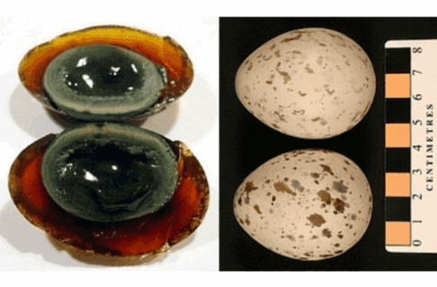 Two photos side-by-side of two century eggs each. The eggs on the left are both a deep green-black. The eggs on the right are white shells with brown flecks.