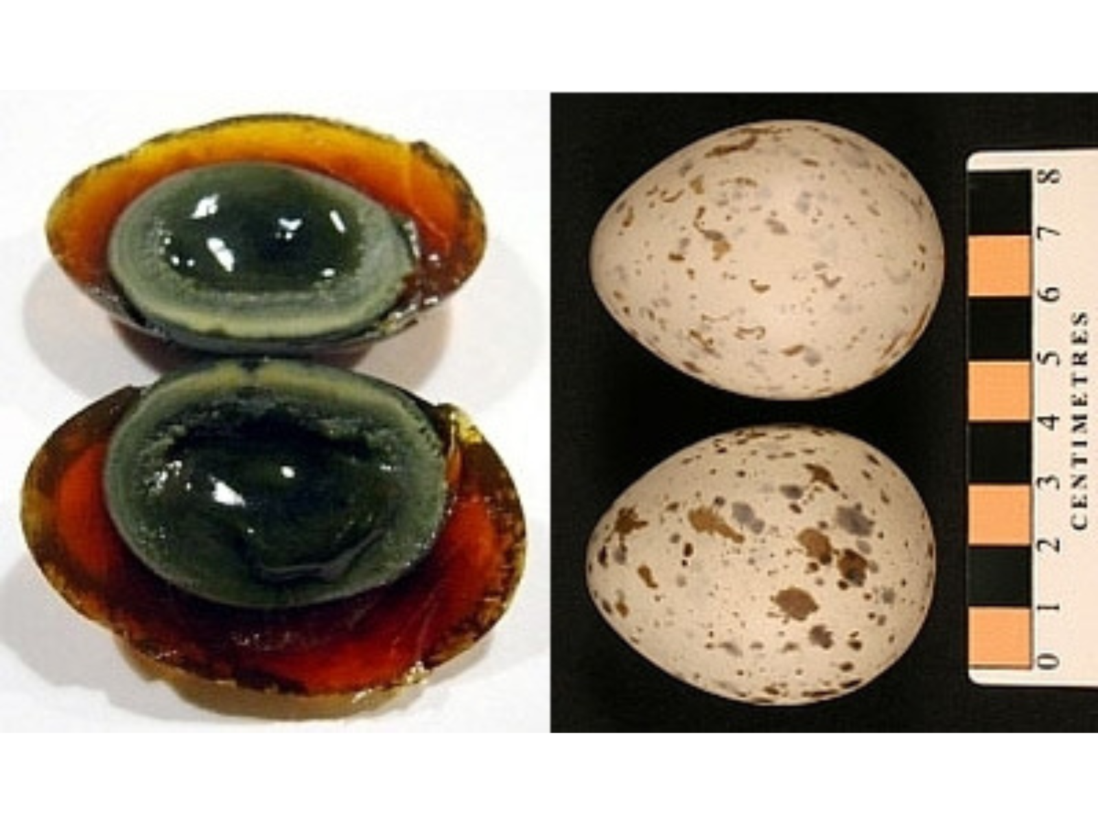 Two photos side-by-side of two century eggs each. The eggs on the left are both a deep green-black. The eggs on the right are white shells with brown flecks.