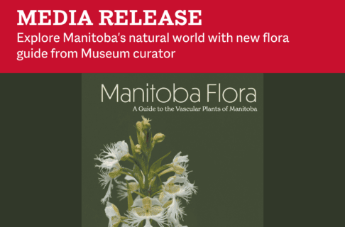 Front cover of Volume 1 of Dr. Diana Bizecki Robson's new publication, "Manitoba Flora: A Guide to the Vascular Plants of Manitoba". On a red bar across the top, text reads, "Media Release / Explore Manitoba's natural world with new flora guide from Museum curator".