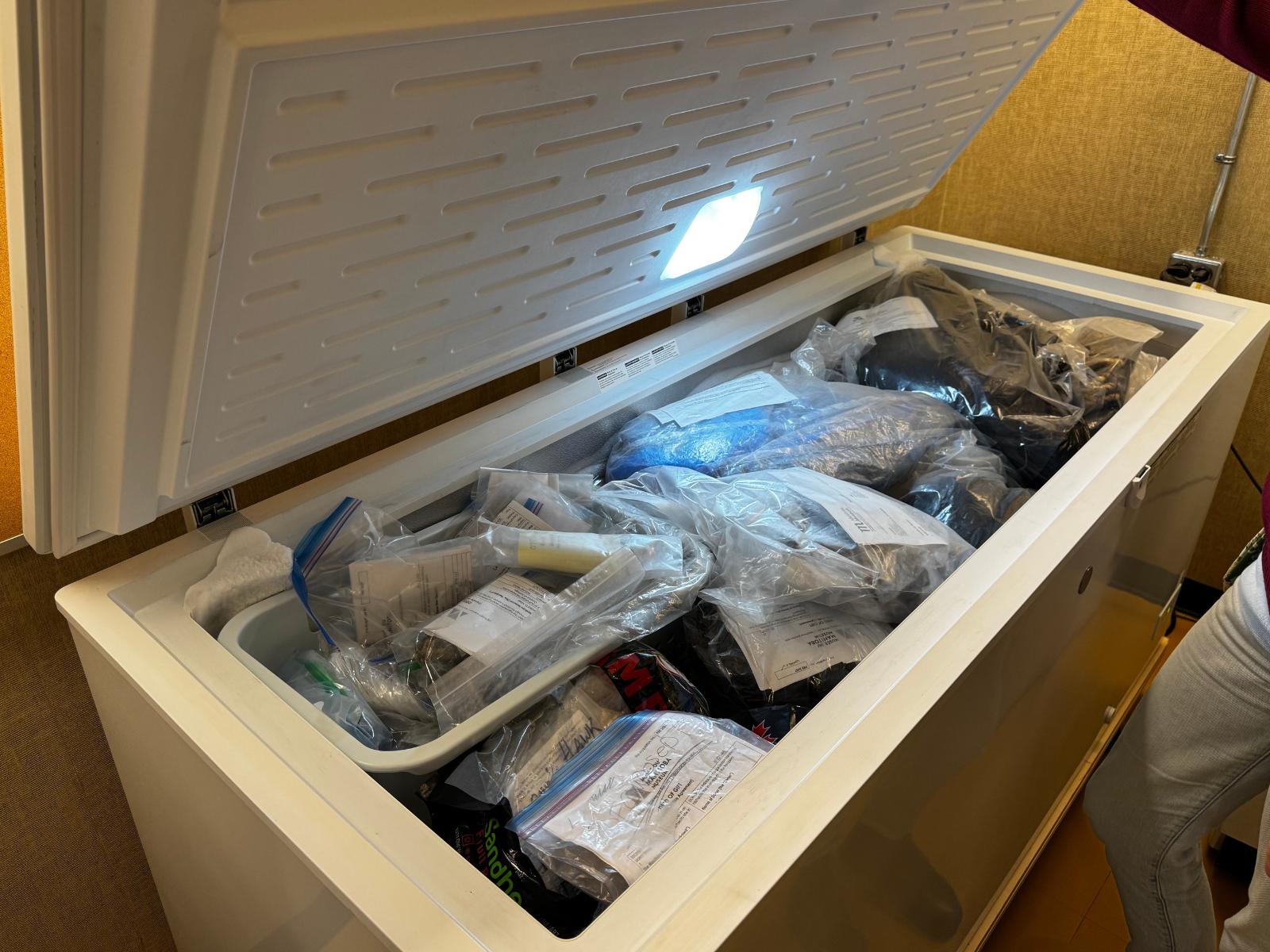 An open chest freezer packed with individually bagged items in clear plastic bags with forms containing the object details.