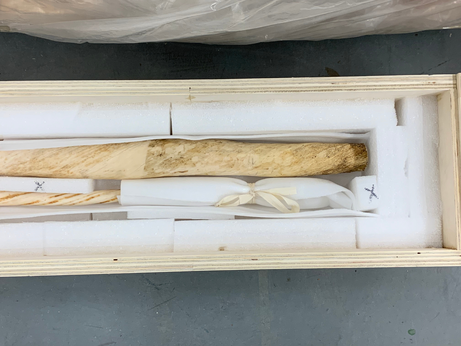 Two long slender, cream-coloured artifacts carefully packed in a wooden shipping box with foam and padding.