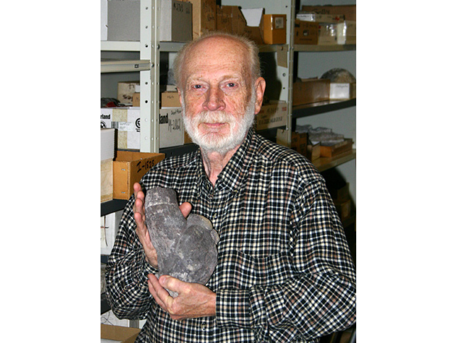 A white-bearded gentleman holding up a greyish coprolite with two hands.