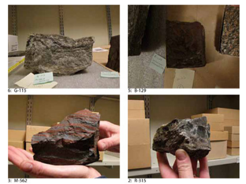 Four images of varying specimens, some on shelves, some held in the photographer's hand.