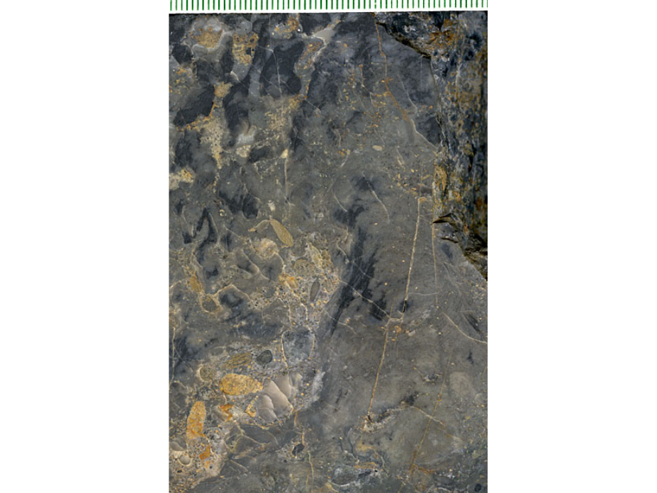 A grey-blue specimen with flecks of gold-coloured material. The clotted and layered microbial textures in a specimen.