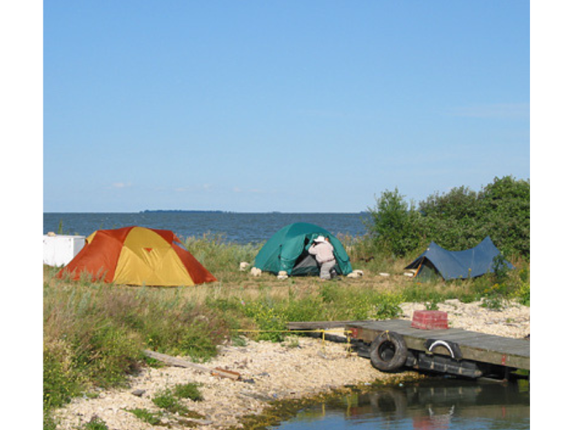 Three tents set up on a grassy space near water near a dock.