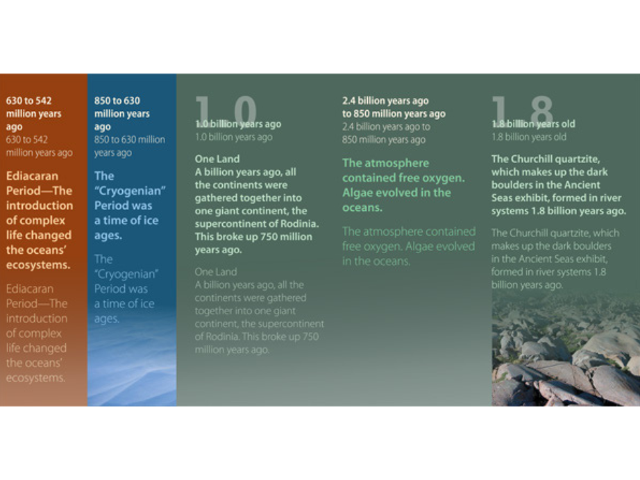 A section of the final time line layout.