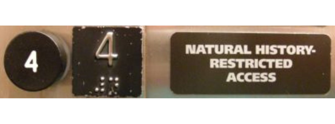Close-up on the fourth floor button of an elevator panel. The label reads, 