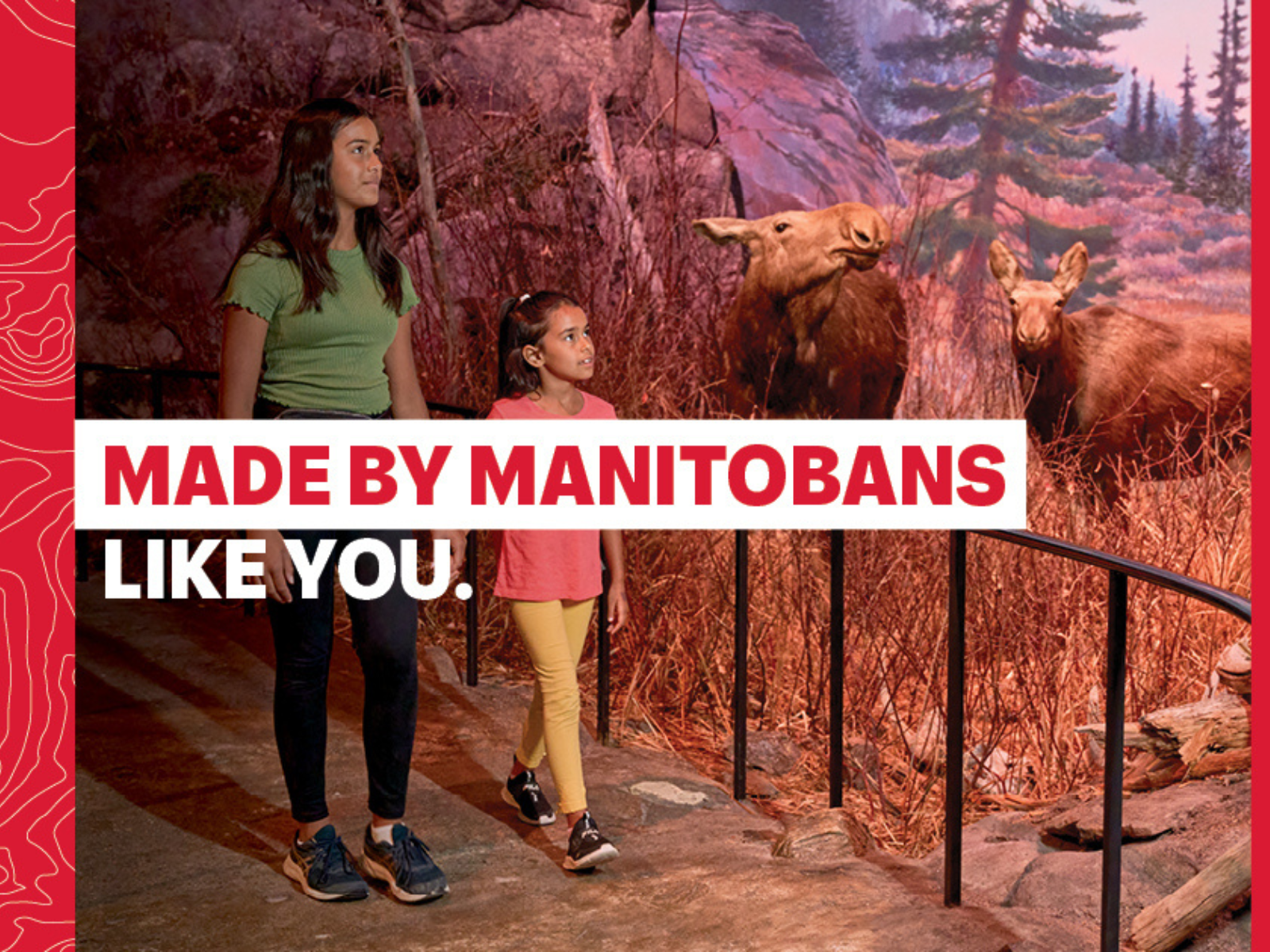 A photograph of two children holding hands as they walk through the iconic Boreal Forest diorama past the moose in the Manitoba Museum. Text reads, "Made By Manitobans Like You".