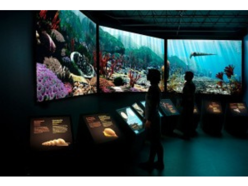 The Manitoba Museum Ancient Seas exhibit, a large curving screen along a wall showing animation of a view of a tropical sea with the silhouettes of two individuals engaging in the exhibit.