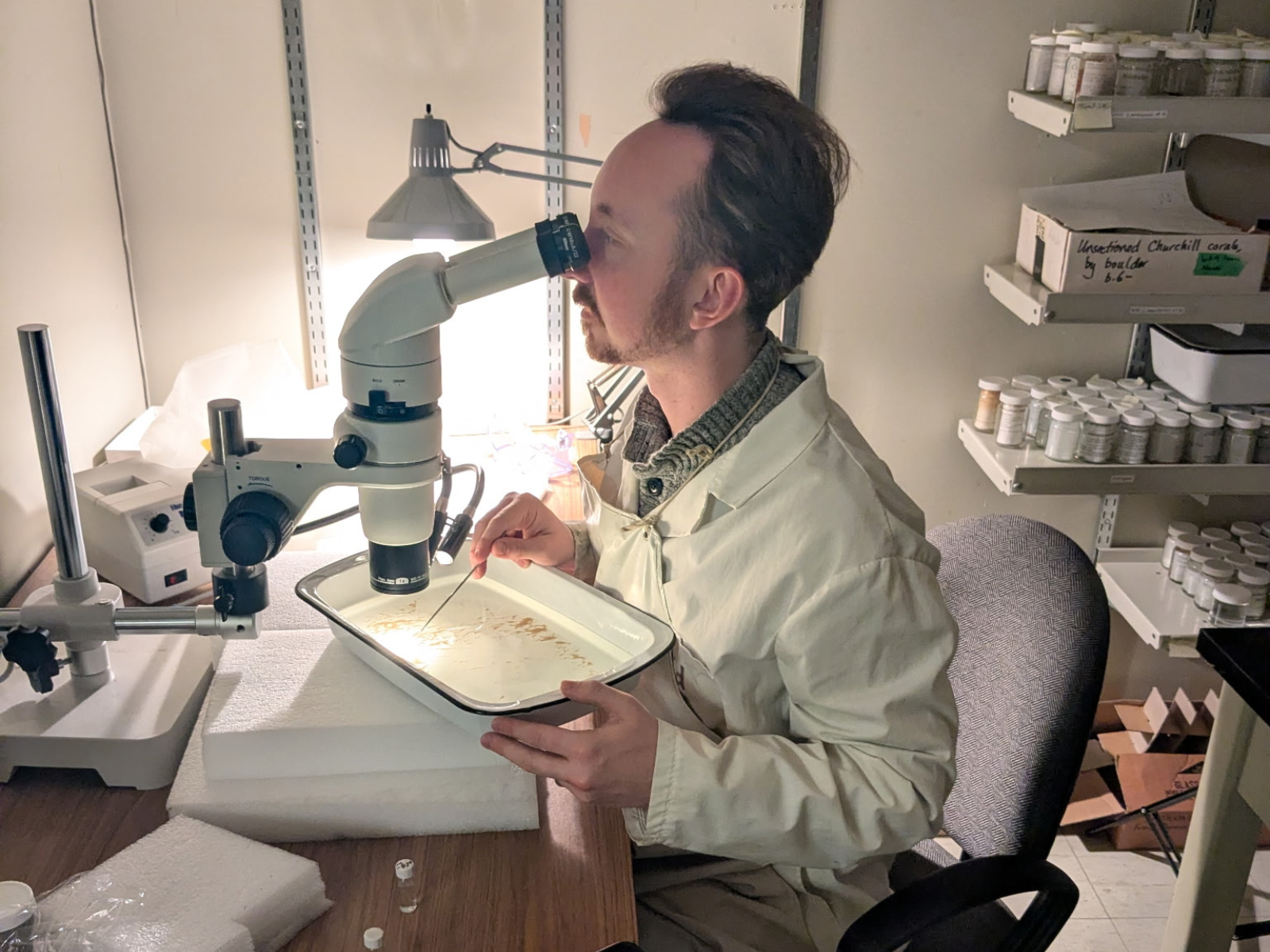 An individual seated at a table looking into a microscope as they maneuver a specimen in liquid in a dish below the objective lens.
