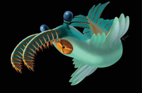 Aqua-coloured digital reconstruction of an aquatic predator with two long curving, barbed claws on the front of its face and a round, toothy mouth below.