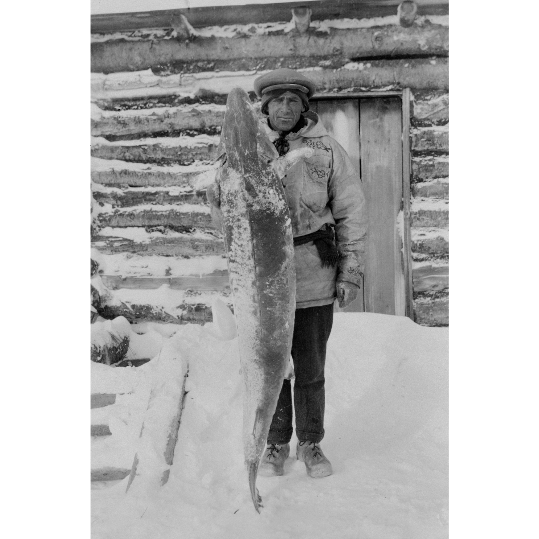 Black and white photograph of a person standing outside in the snow in front of a log building wearing layers of winter-wear, holding up a Lake Sturgeon about as long as they are tall.