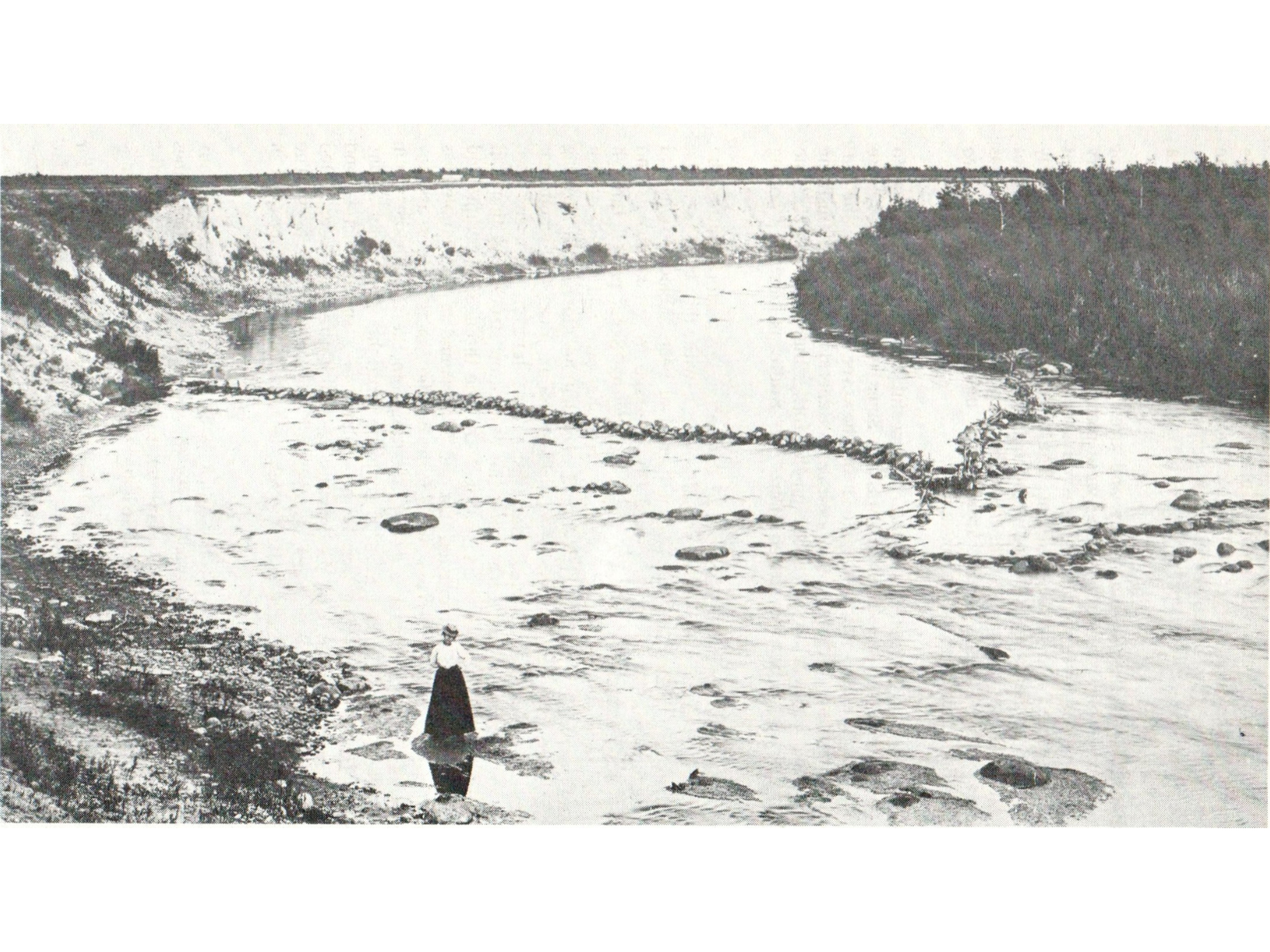 A black and white image looking down across a river from the upper bank. Spanning the river a V-shaped barrier has been erected, funneling fish to a centre-point. A person stands in the shallow waters at the edge of the river along the bottom of the photograph.