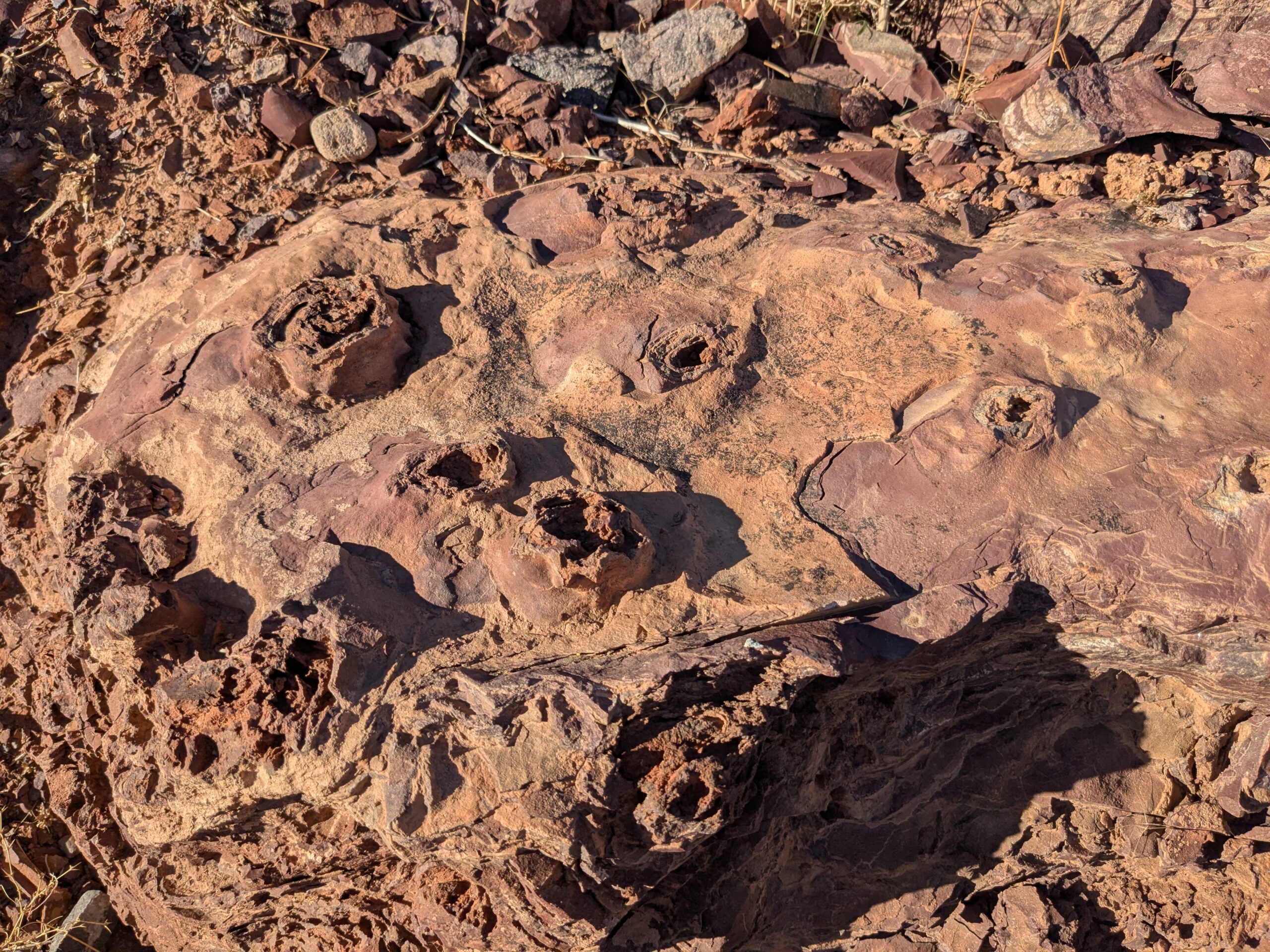 Rocky red ground with intermittent layered tube-like shapes jutting out from the surface.