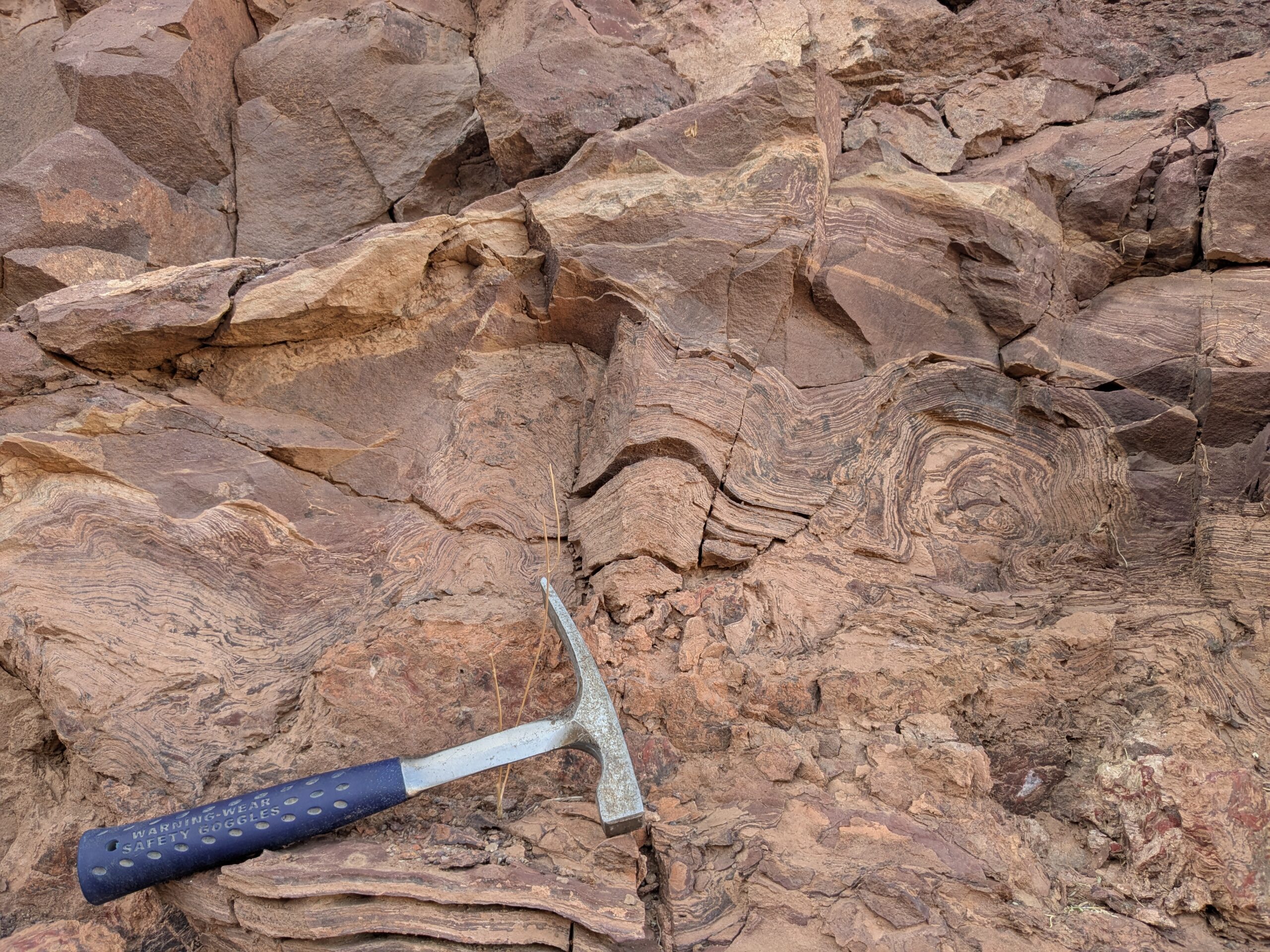 Vertical cut of rock with sections of swirling layers of stromatolites fossilized within. Placed in the lower left of the frame is a hand pick for size comparison.