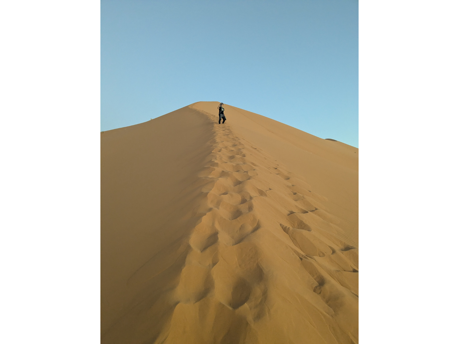 Looking up the steep incline of a tall sand dune, where a person stands looking back down about three quarters of the way up.