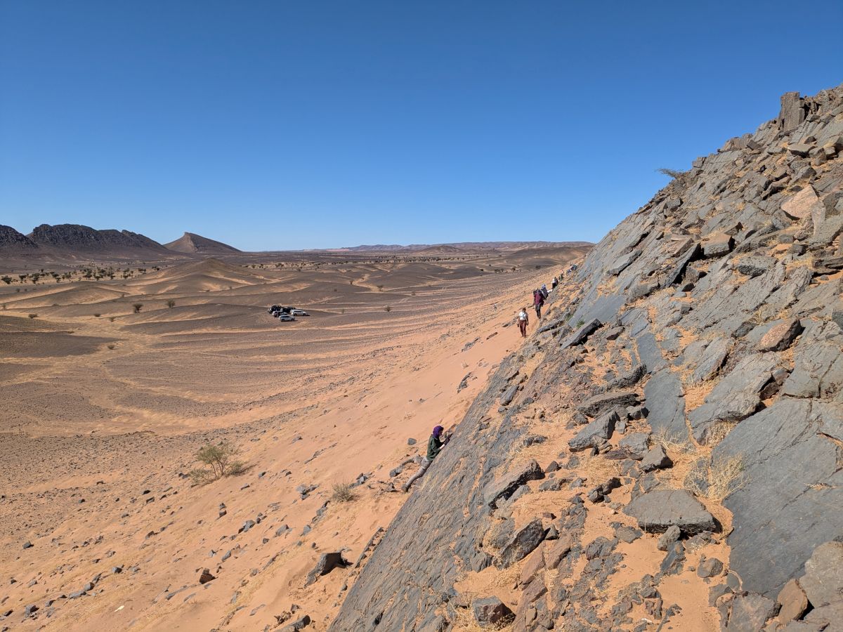 View looking along a steep, nearly vertical, rocky outcrop. In the distance, a group walks in a line towards the camera along the base of the rocks, examining them for fossils.