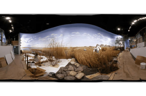 A panoramic image looking over an in-progress full-wall diorama depicting a marsh and a farm field harvest scene.