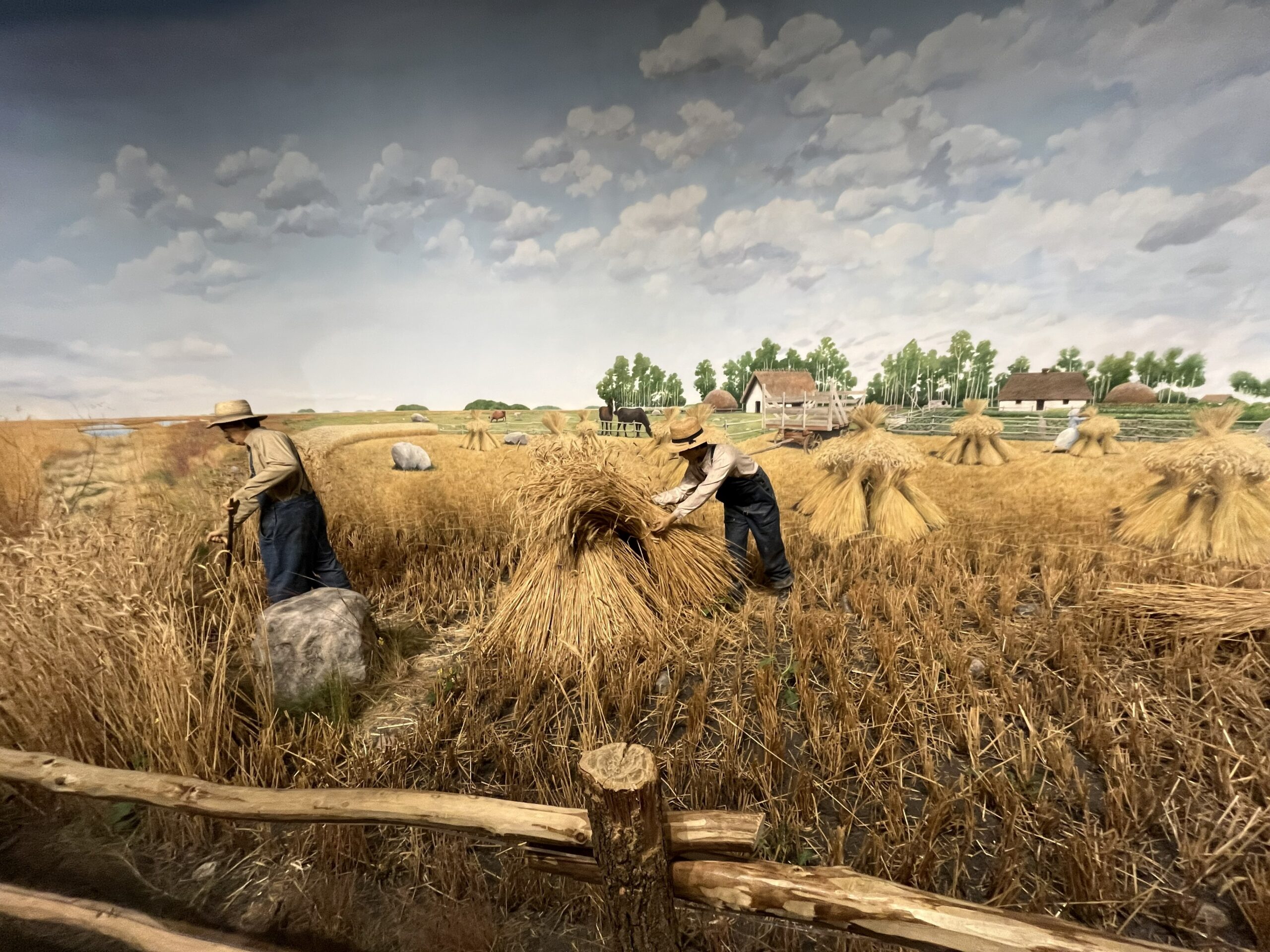 Diorama wdepicting two adult men arranging cut rye in upright bundles. Behind them a mural is painted on the wall showing the rest of the farm field, farmhouse, and nearby community.
